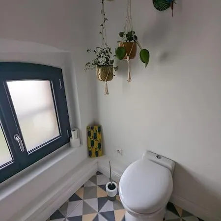 Maison Typique Albigeoise Renovee فيلة