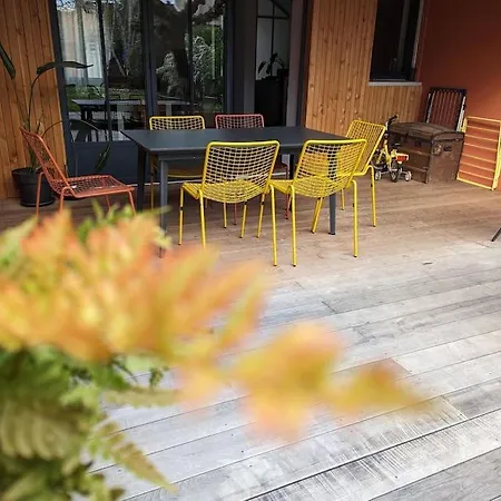 Maison Typique Albigeoise Renovee * ألبي