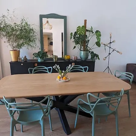 Maison Typique Albigeoise Renovee ألبي