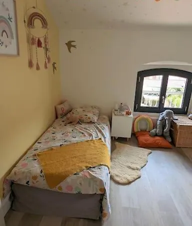 Maison Typique Albigeoise Renovee Villa Albi